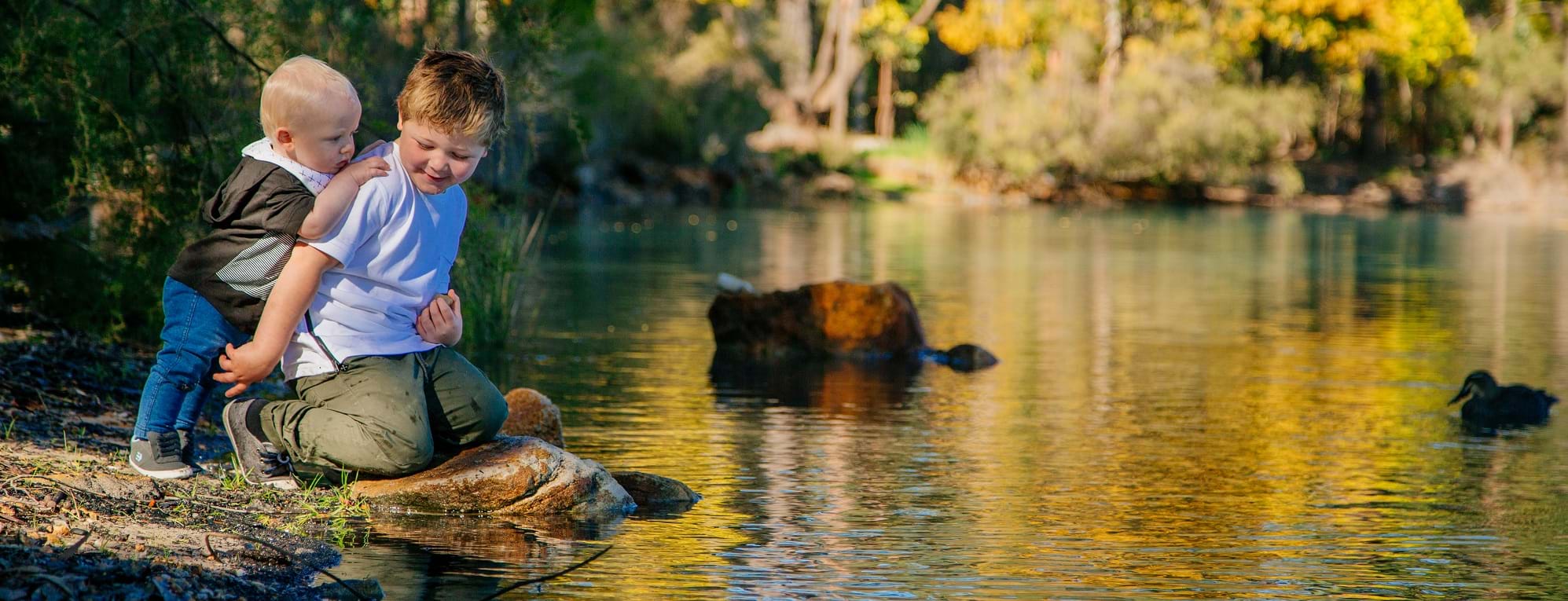 Chiropractic Care in Collie